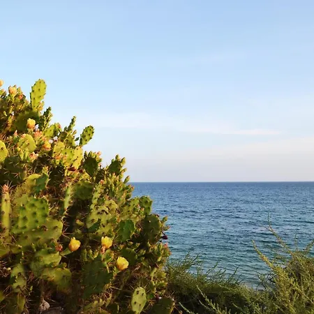 Apartment Sea Top Flat L By Algest